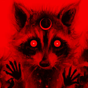 raccoon
